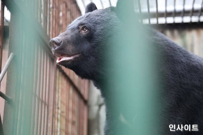닥터 브로너스, 사육곰의 더 나은 삶 위해 2천 5백만 원 후원