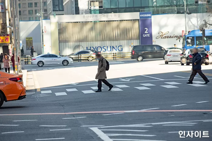 인사이트