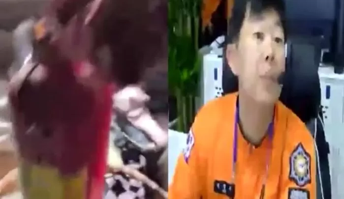 인사이트