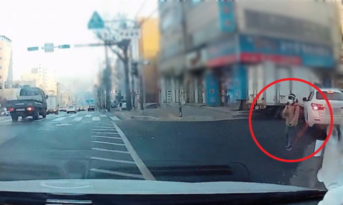인천서 등교하던 9살 아이 치고 달아난 50대 여성 운전자...“난 모르는 일이다”