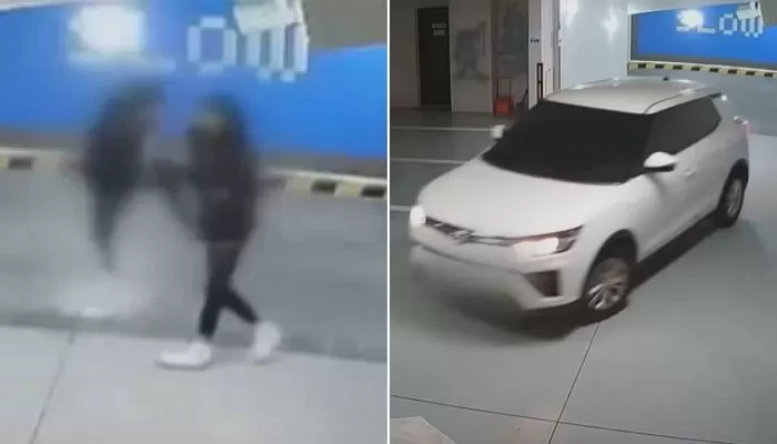 인사이트