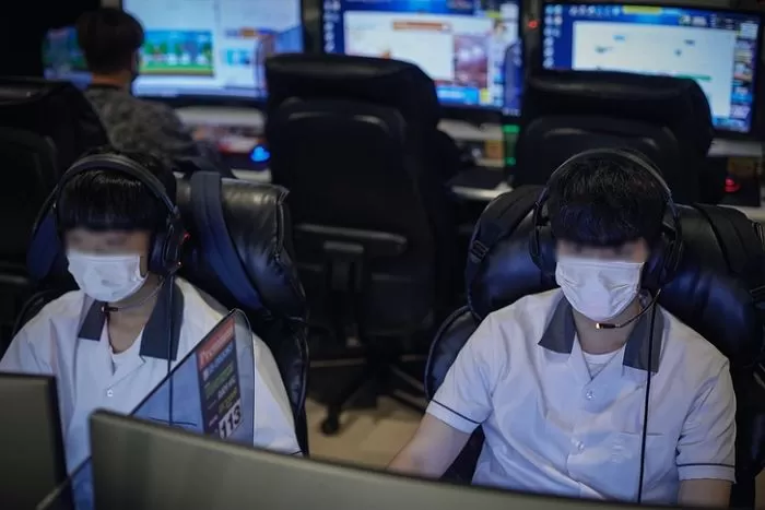 인사이트
