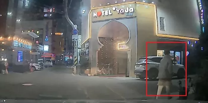 인사이트