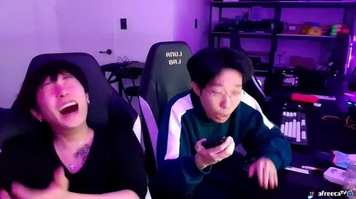 인사이트