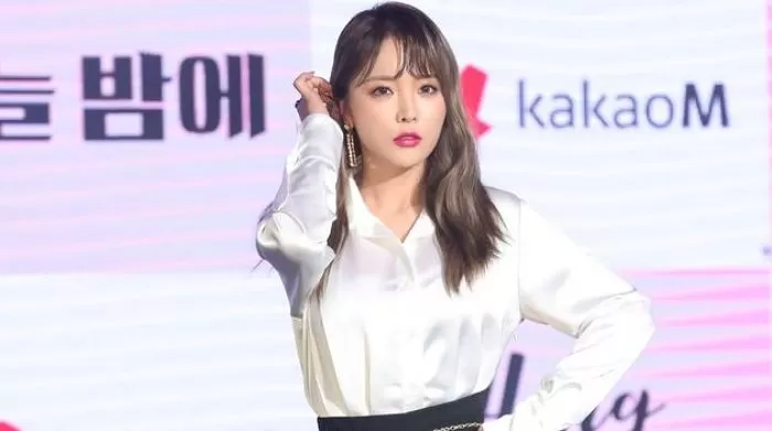 인사이트