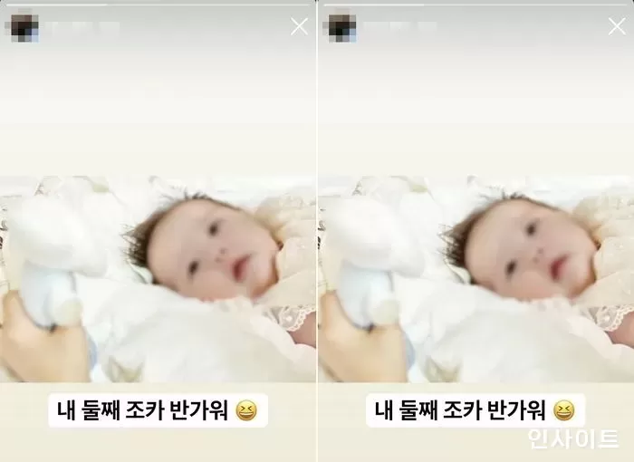 인사이트