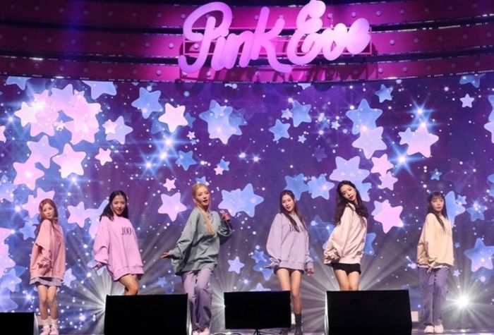 2월 ‘완전체 컴백’ 앞둔 에이핑크, 눈물의 10주년 기념 팬미팅 마무리