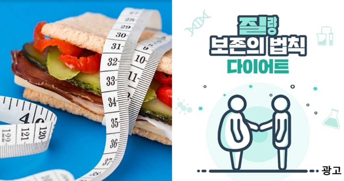 프로 다이어터들 사이서 간헐적 단식보다 성공률 높다고 난리난 ‘이 법칙’