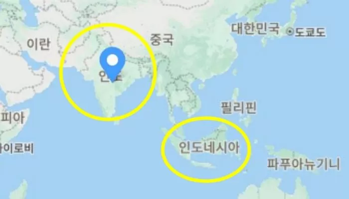 인사이트