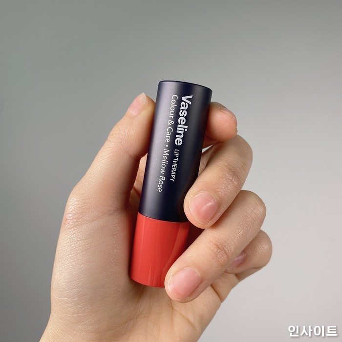 인사이트 / 사진=인사이트