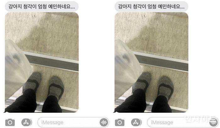 “강아지 놀라니까 조용히 배달 주세요” 고객 요청에 신발 벗고 계단 오른 배달원