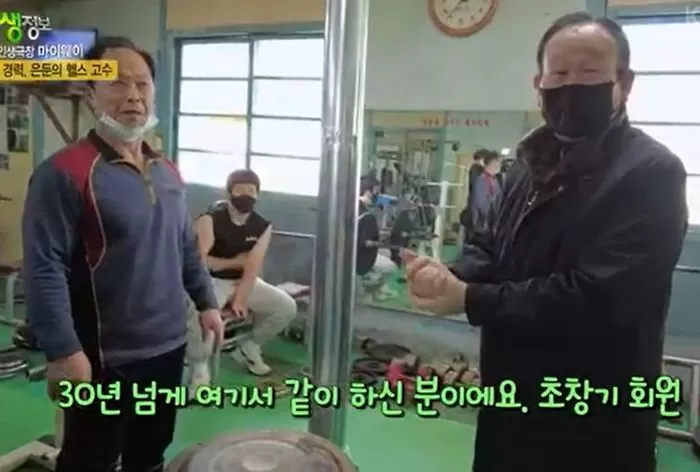 인사이트