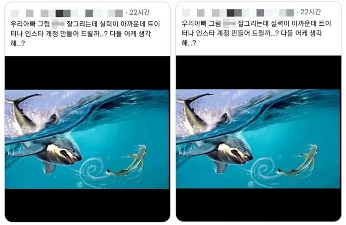 인사이트