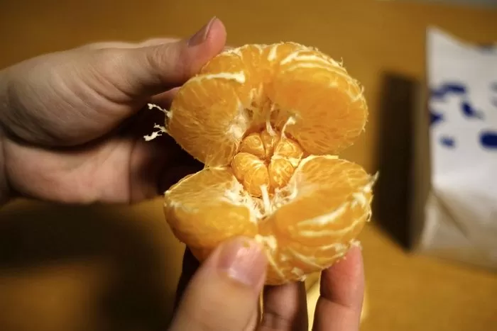 인사이트