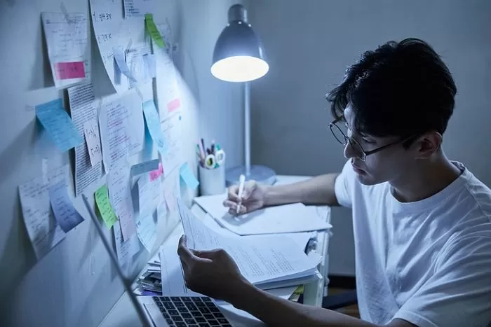 인사이트
