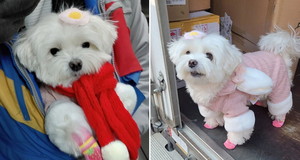 승진상사 이미지