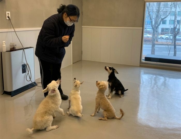 강남 서초구, 5천원만 내면 설에 집 비우는 집사 대신 ‘우리 집 댕댕이’ 돌봐준다