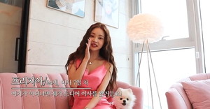 프리지아 이미지