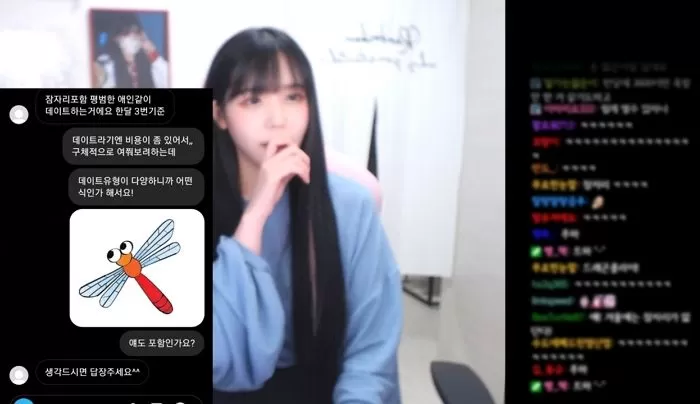인사이트
