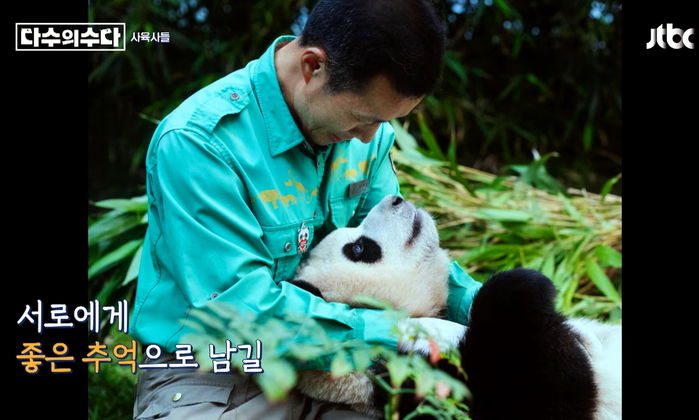 “아직 아기인데ㅠㅠ”...2년 반 뒤 중국으로 시집 가 새끼 낳는다는 ‘에버랜드 판다’ 푸바오