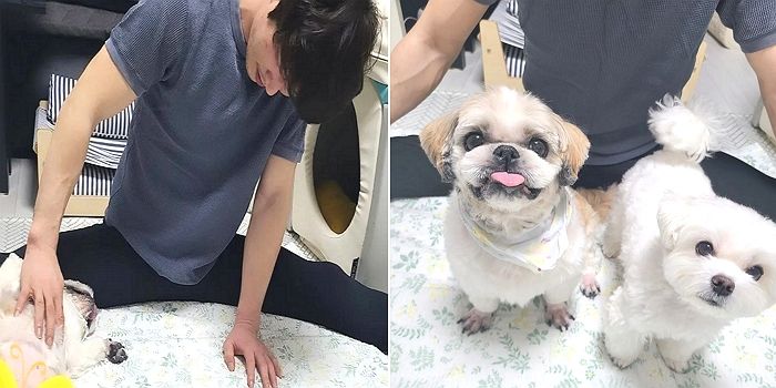 택배견 경태·태희 아부지, 알고보니 아버님이 아니라 ‘오빠’였다