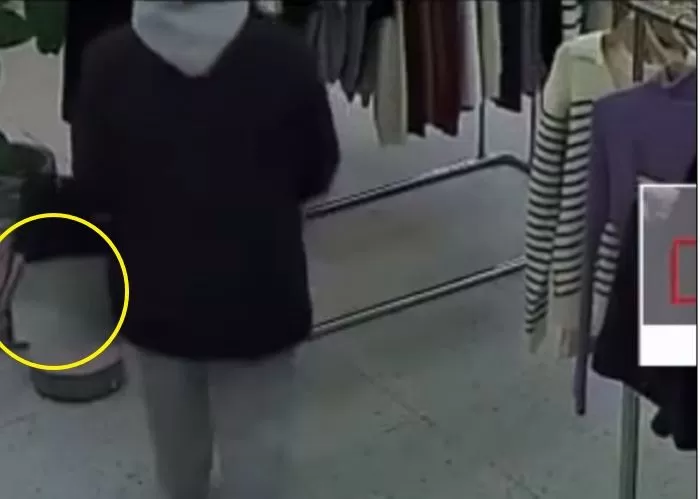 인사이트