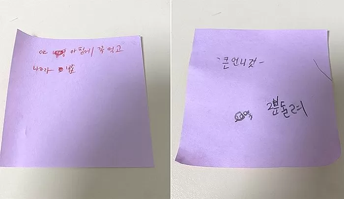 인사이트