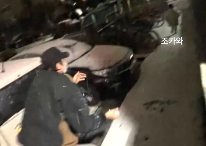 인사이트