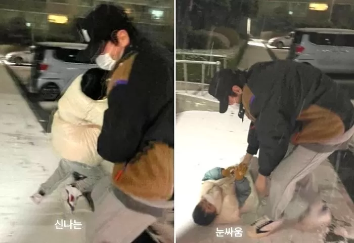인사이트