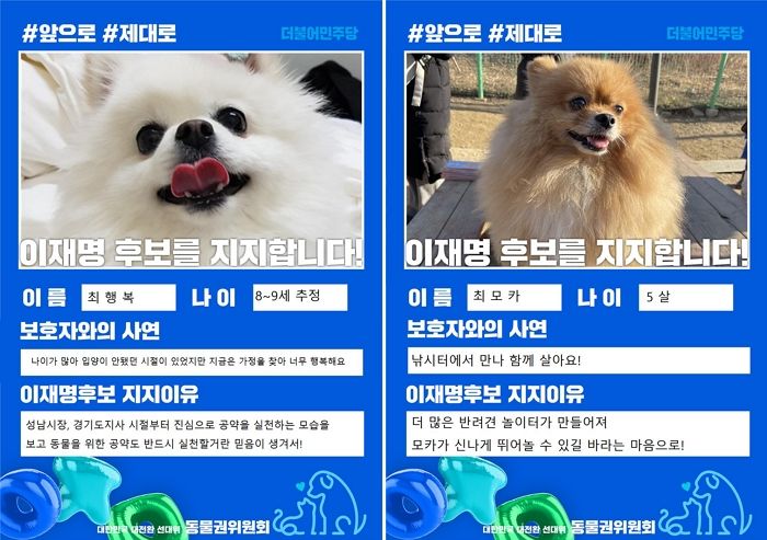 고민정 “반려동물들, 이재명 지지 선언”...국민의힘 “강아지 언어 잘 아나보다”