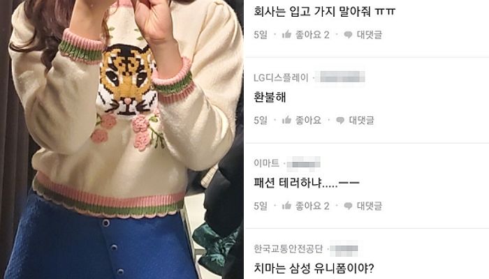 삼성전자 다니는 여성이 소개팅 때 입어도 되냐며 올린 ‘호랑이니트’ 착샷에 언니들이 단 댓글