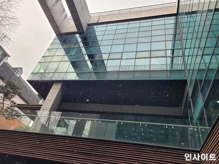 인사이트