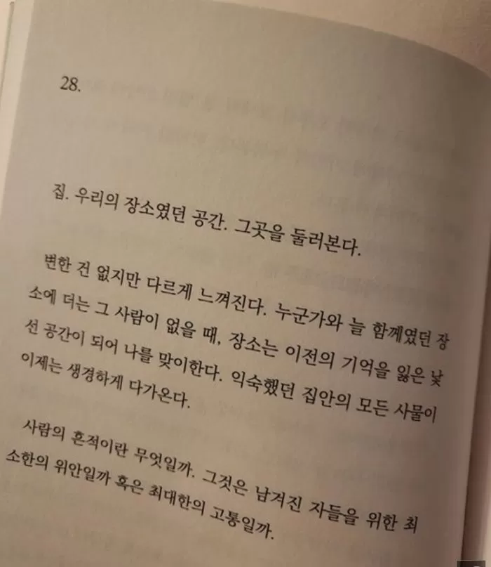 인사이트