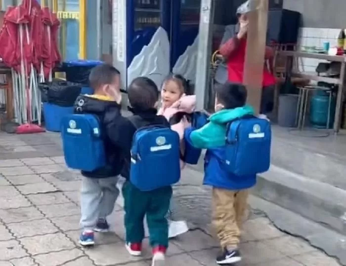 인사이트