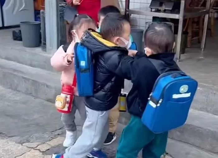 인사이트