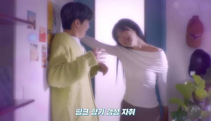 인사이트