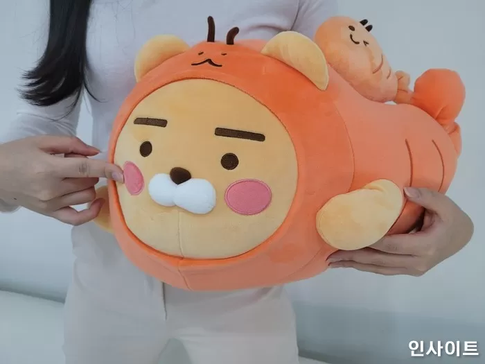 인사이트