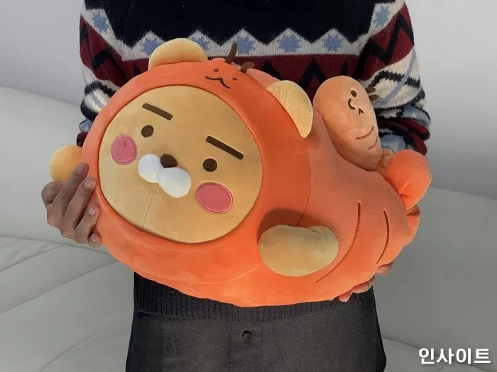 인사이트