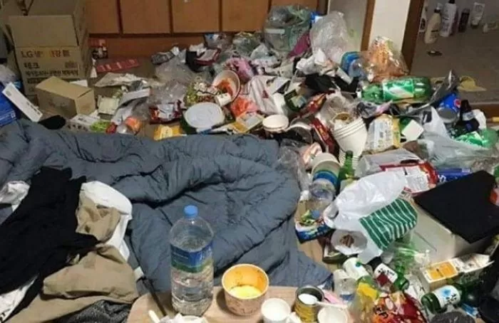인사이트