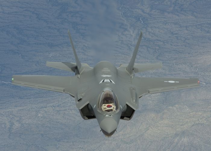 공군 파일럿 잃을 뻔한 1200억짜리 전투기  F-35A 사고, 원인은 ‘독수리’였다