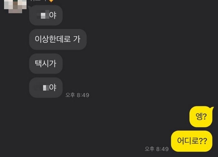 달리는 택시서 뛰어내려 사망한 포항 여대생이 남친과 주고 받은 카톡 대화 내용