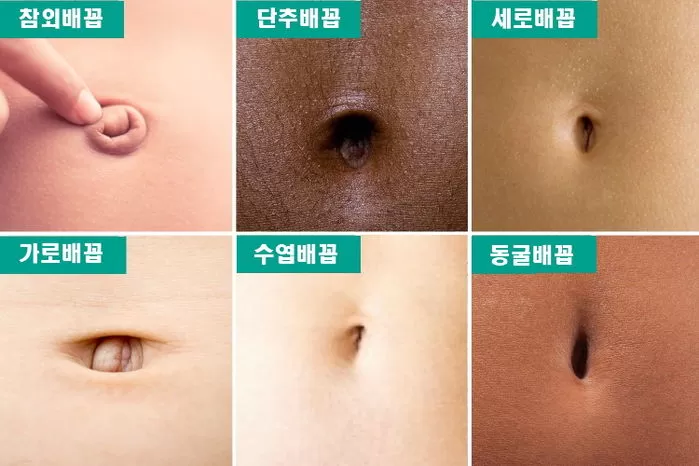 인사이트