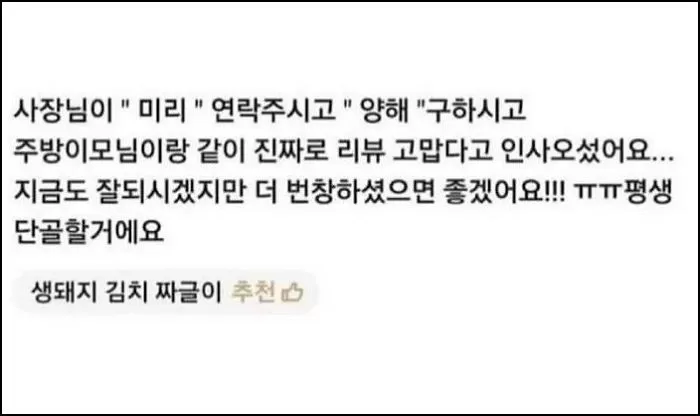 인사이트
