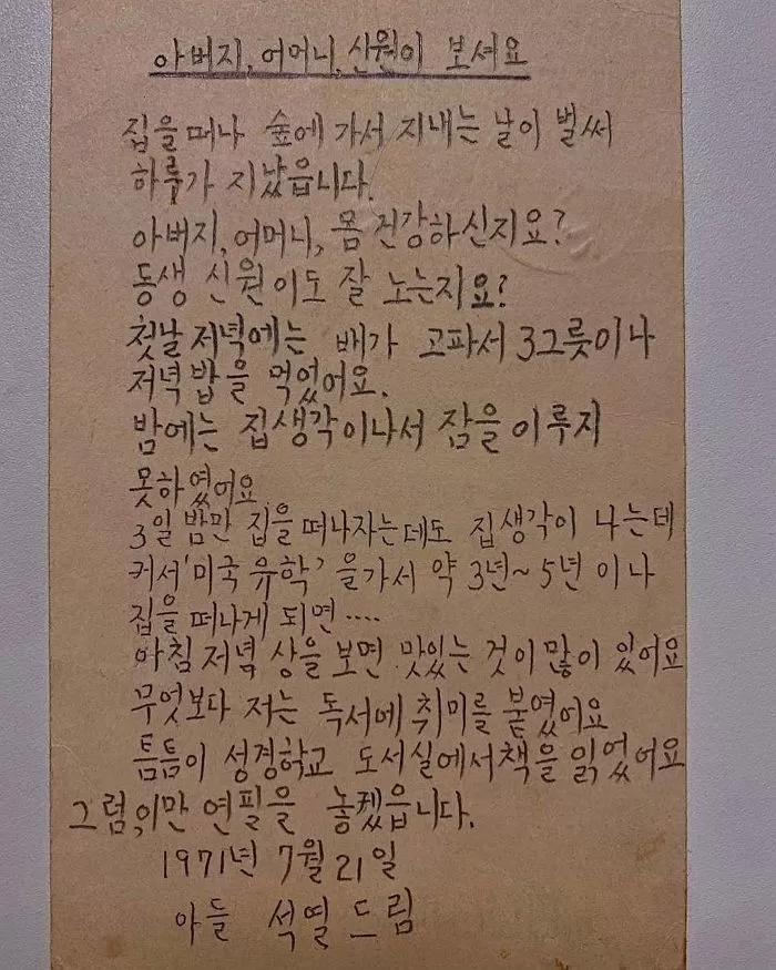 인사이트