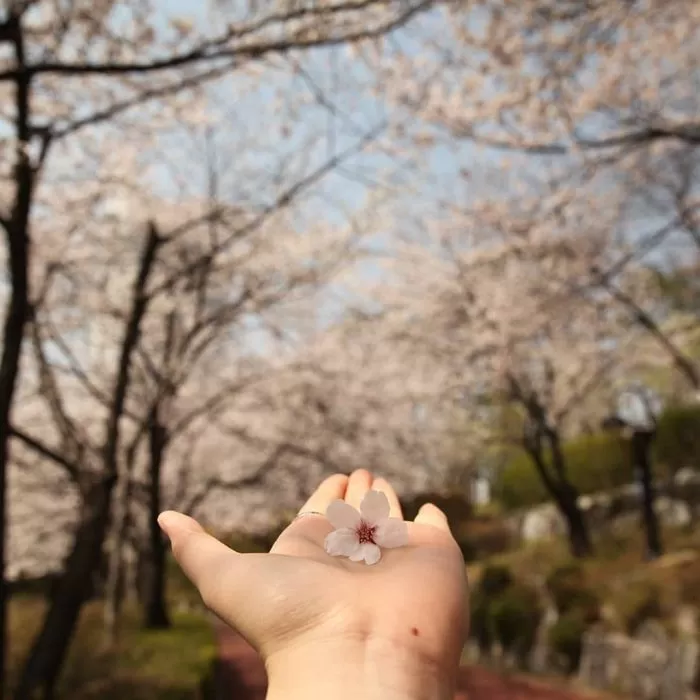 인사이트