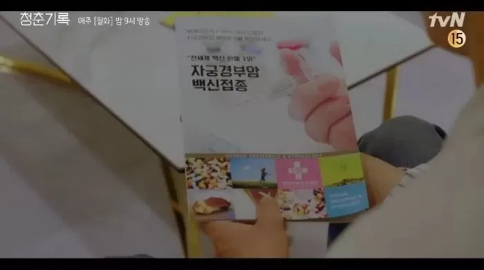인사이트