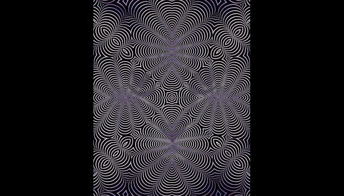 ‘좌뇌형vs우뇌형’에 따라 다른 동물 보인다고 SNS서 난리난 역대급 착시 문제