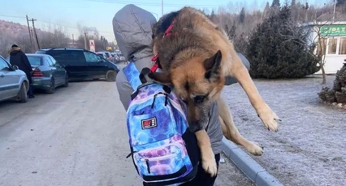 걷지 못하는 대형견 안고 17km 걸어 우크라이나 탈출하는 피란민 (사진)