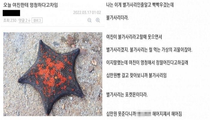 여친 앞에서 불가사리를 ‘별가사리’라 불렀다가  멍청하다며 차인 남친