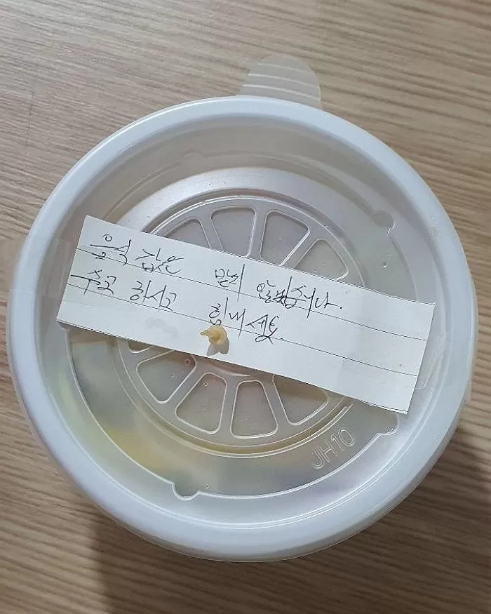 인사이트